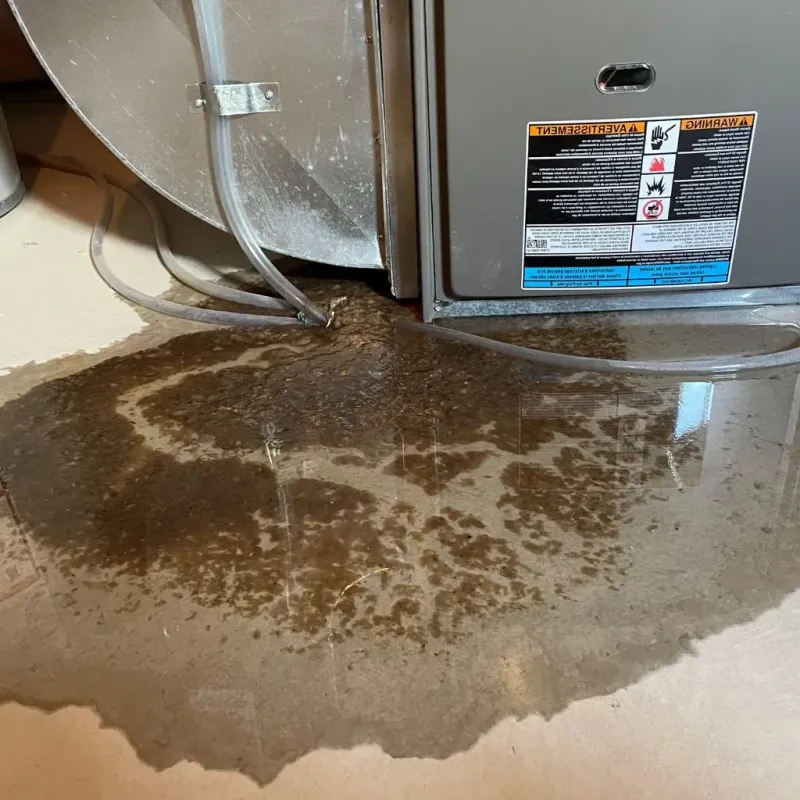 Pipe Burst and Leak Restoration in First Mesa, AZ