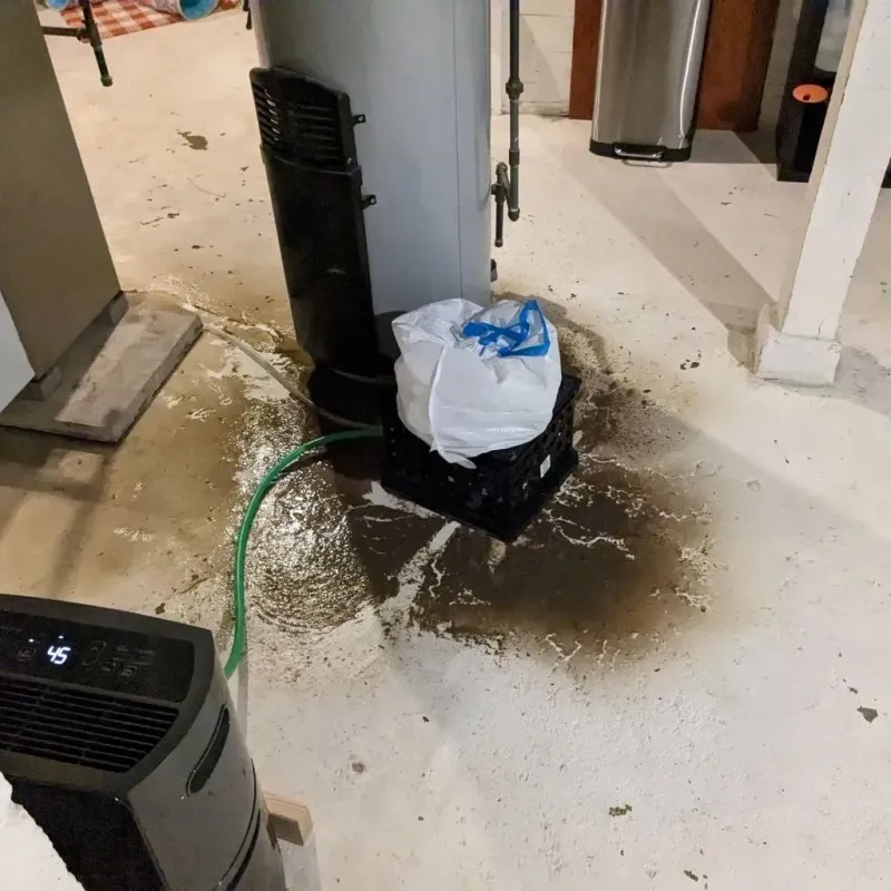 Sewage Backup Cleanup Service in First Mesa, AZ